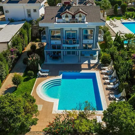 Orka Crystal * Ολουντενίζ